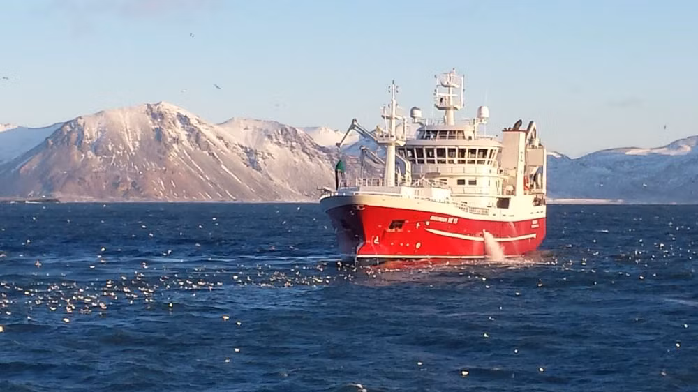 Isländsk sill exempel ansvarstagande fiske